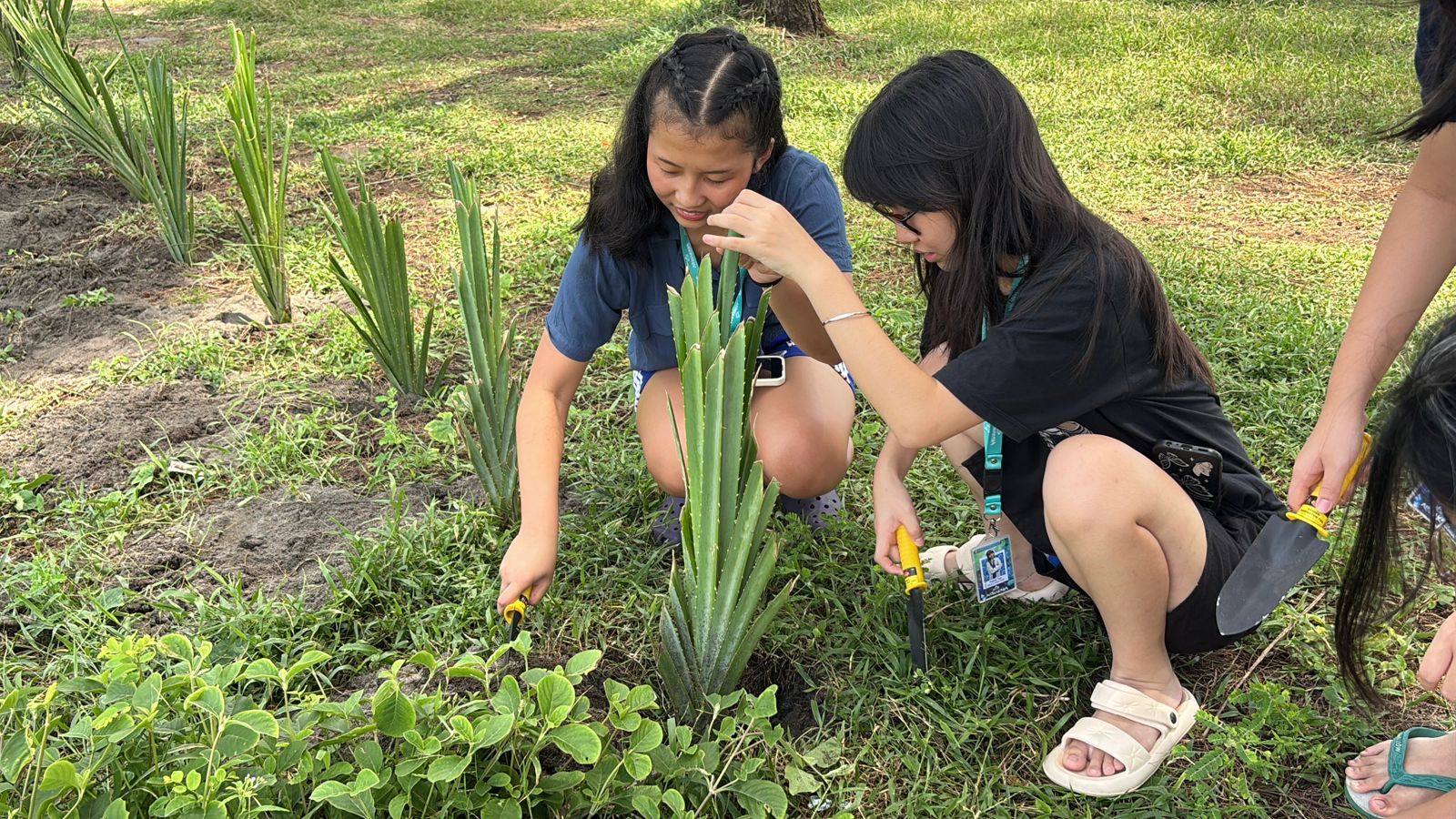 Turtle hatchery visit