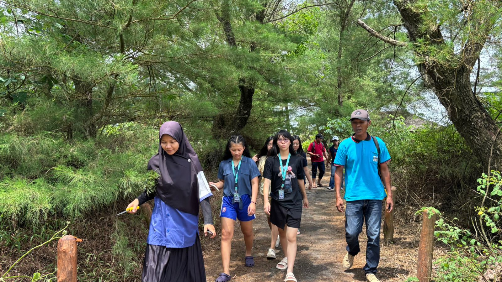 Beach pandan planting